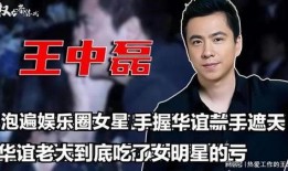 爆料华谊大佬事件视频播放,揭秘娱乐圈权力斗争背后真相